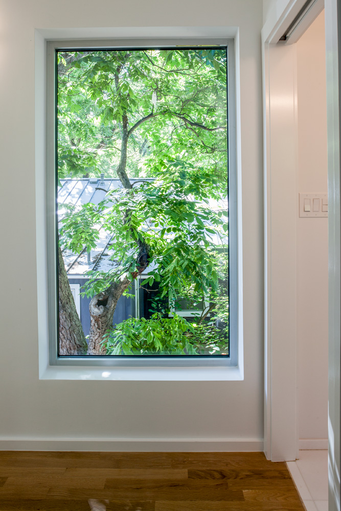 Large window of a room that looks into sun soaked. tree.