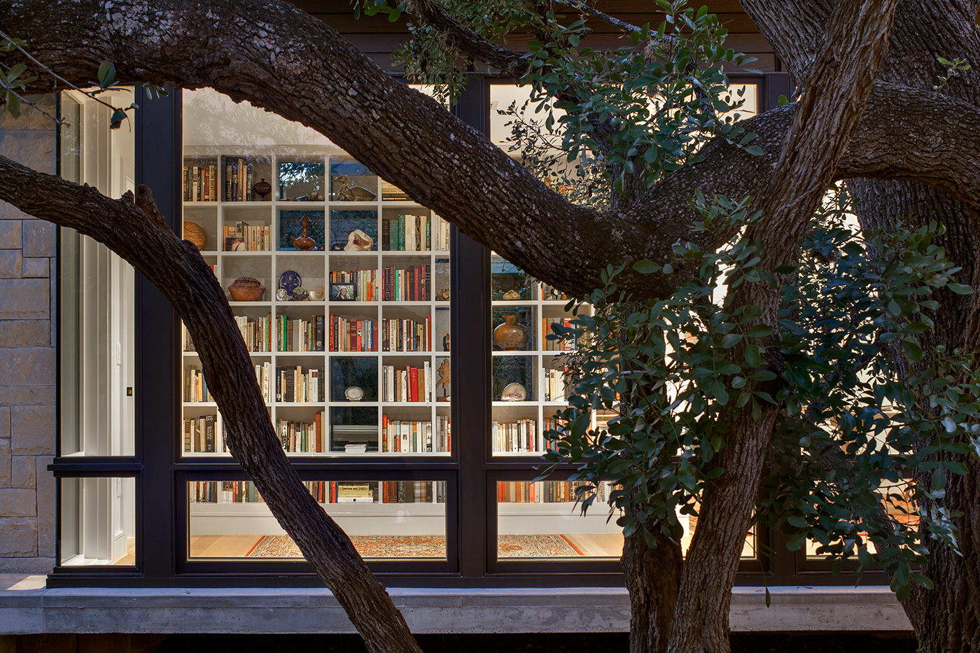 A bookshelf visible though windows to a backyard.