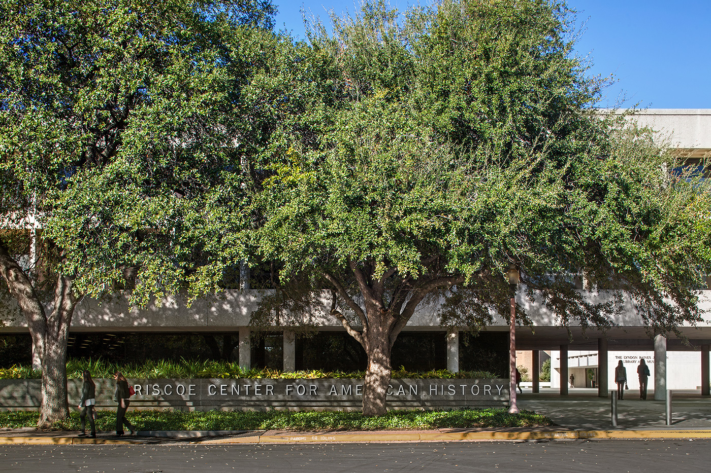 large building blocked by trees named 