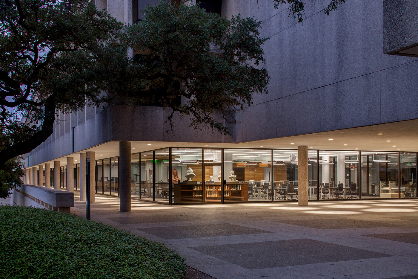 View of groundfloor library with only glass walls.