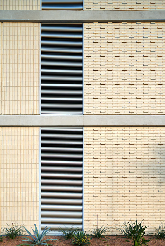 Up close image of a walls bring layout with vegetation at the base.