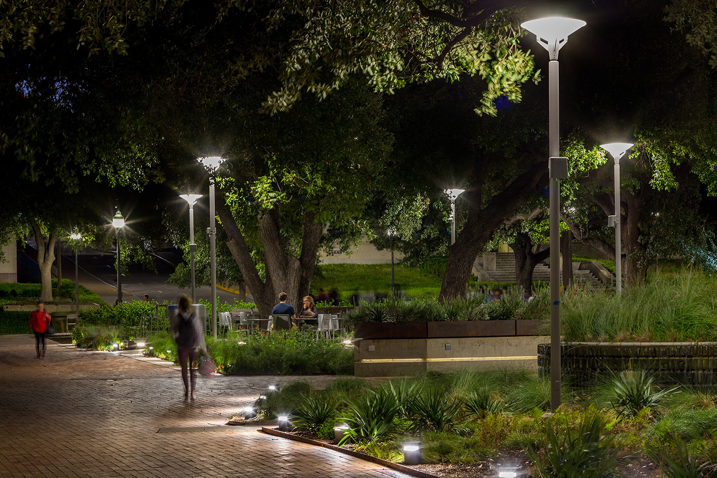 A college walking path lit at night.