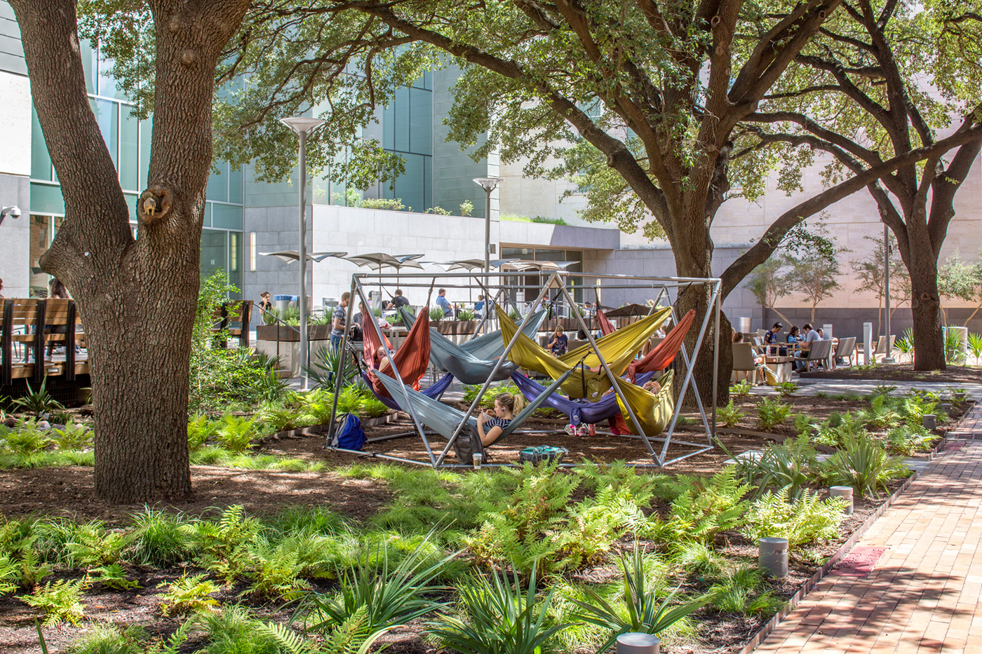 A metal structure under trees with 8 hammocks connected filled with relaxing students.