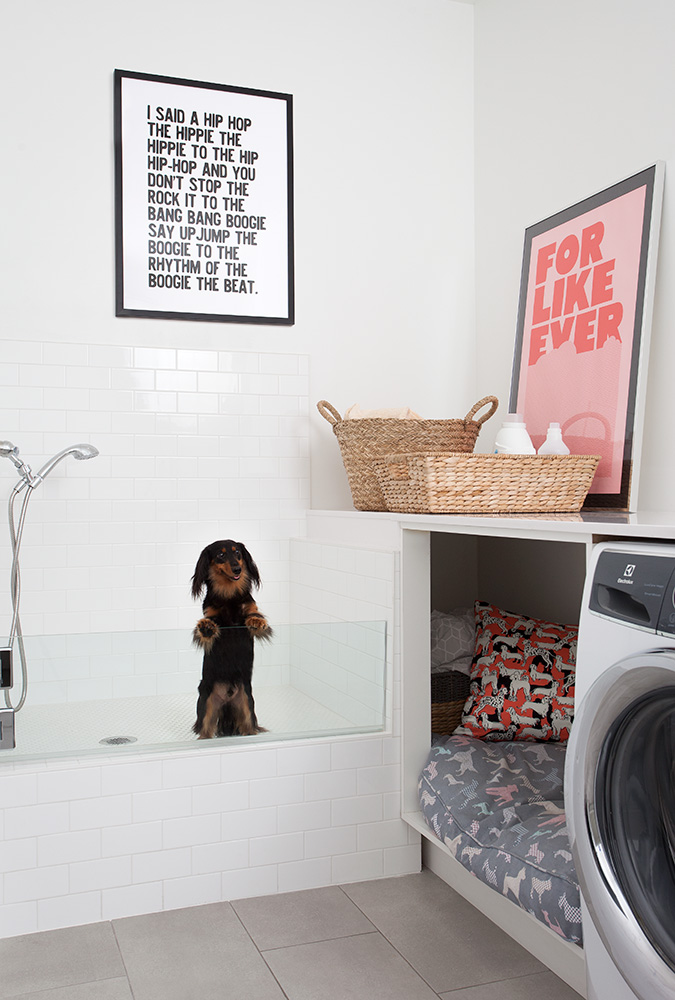 Dog shower in a laundry room.