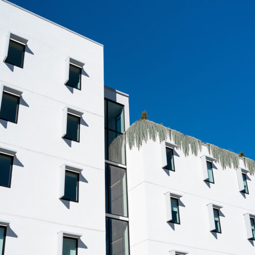 facade of white apartment building with plants hanging down from roof.