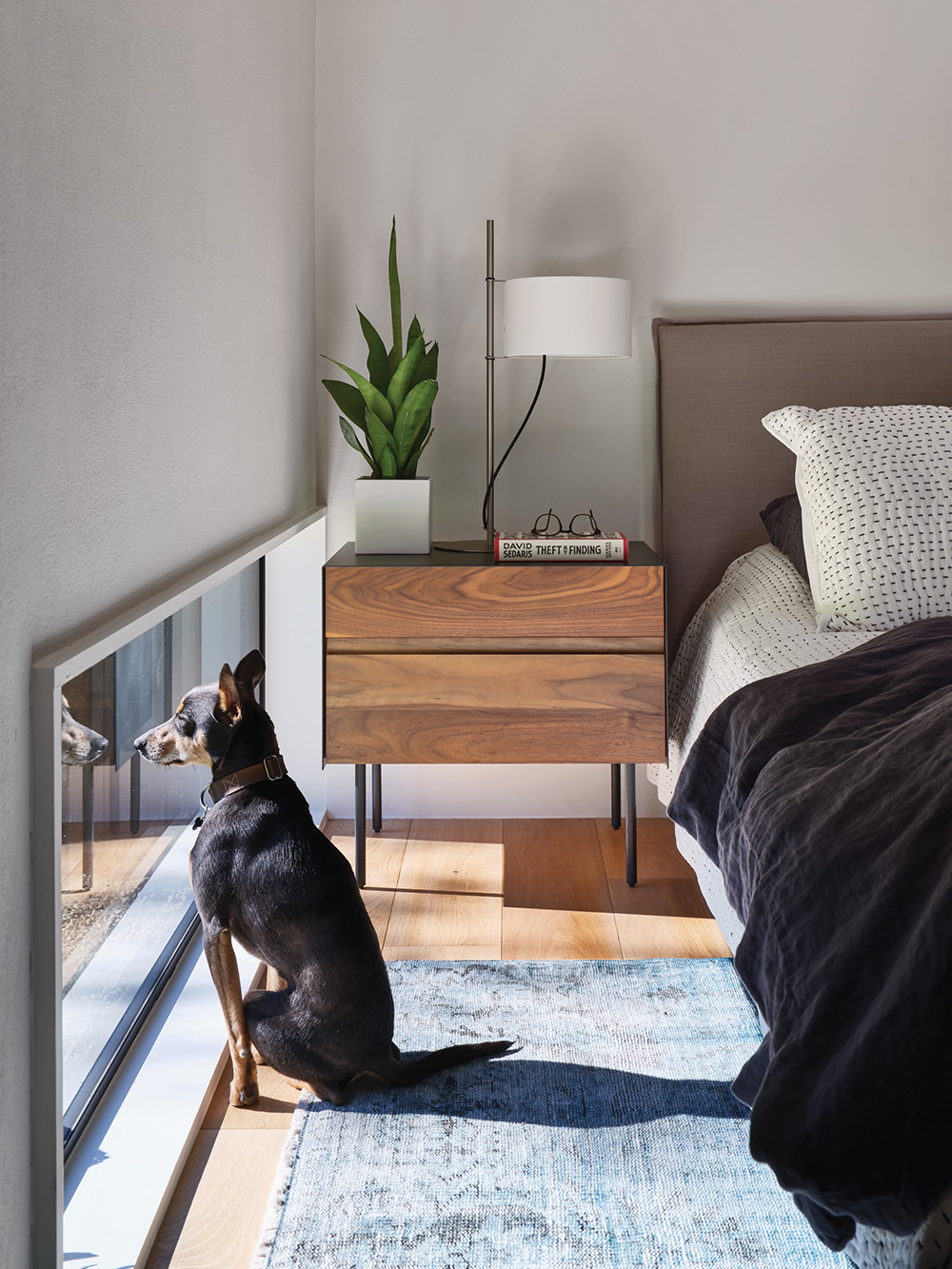 A dog peering through large window in bedroom.