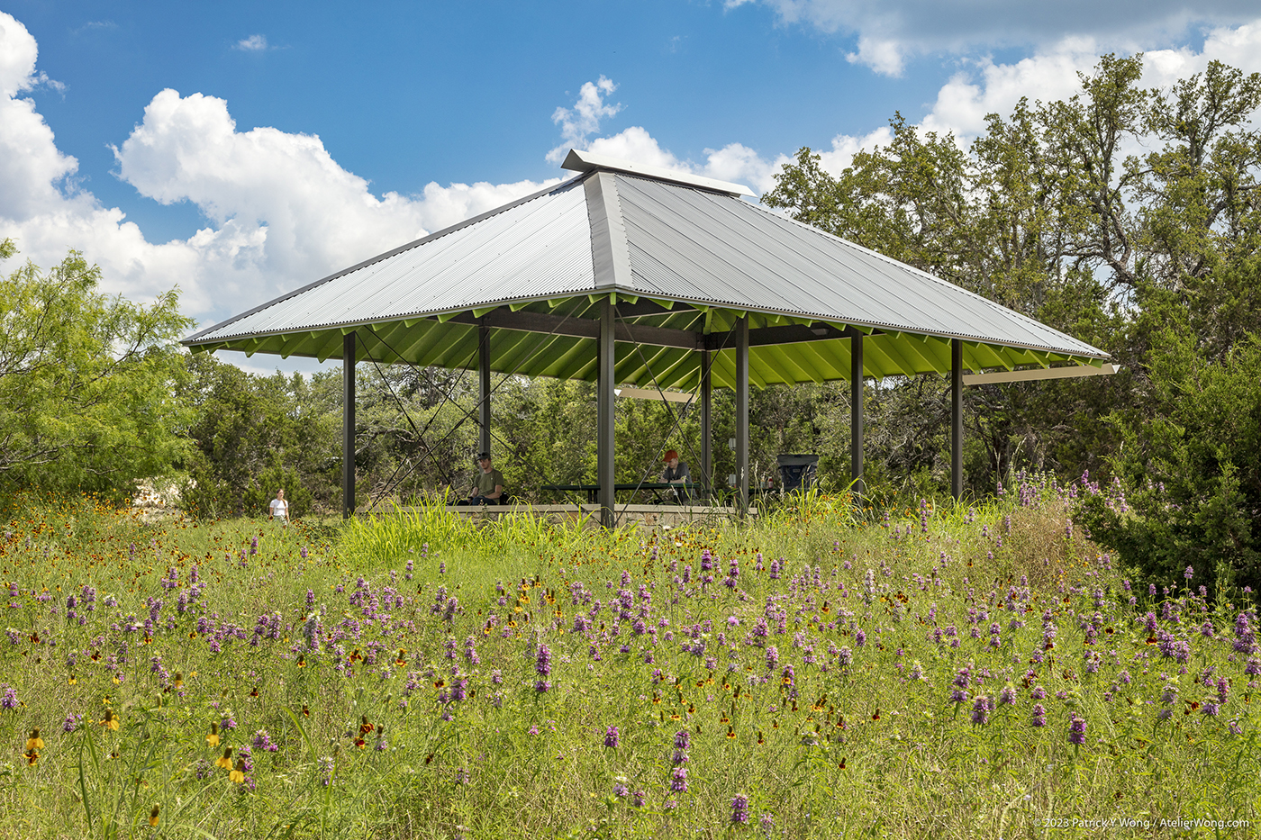 Outdoor pavilion in a field of wildflowers.